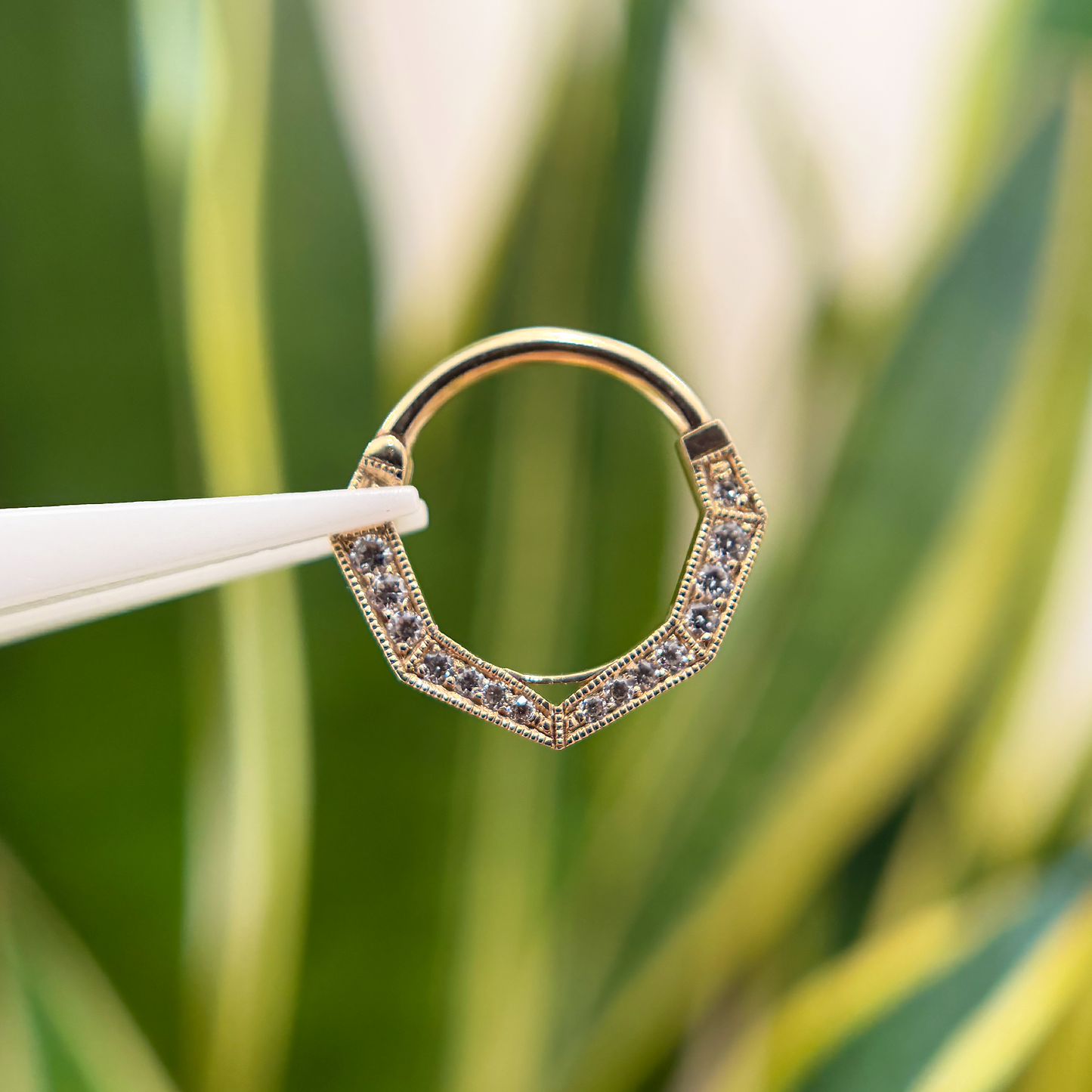 Navale Hinge Ring