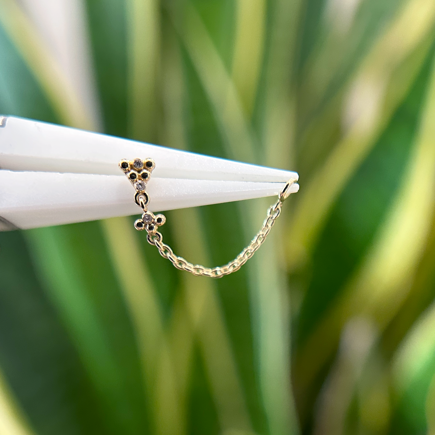 This & That Mini Lasso